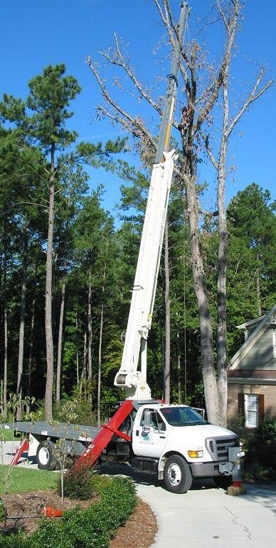 Dangerous removal right next to home