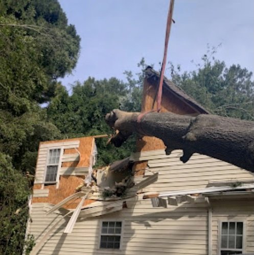Emergency tree removal